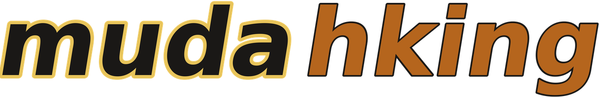 mudahking logo